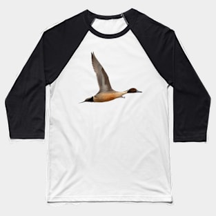 Pintail in Flight Baseball T-Shirt